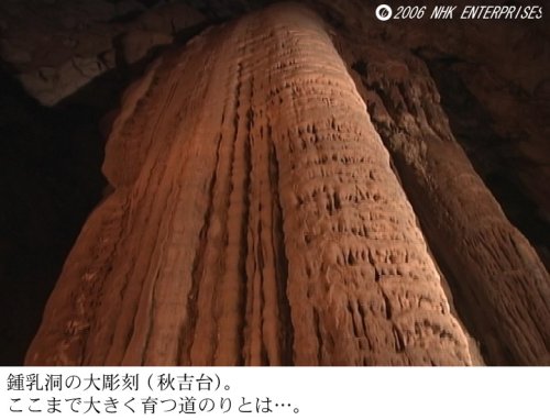 Cover image : 世界の自然現象 Nature Spectacle ～ダイヤモンドダスト、大河逆流、皆既日食～ [DVD]