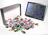 Photo Jigsaw Puzzle of WA, Mt. Rainier from Danita Delimont