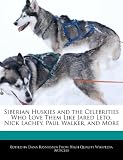 Siberian Huskies and the Celebrities Who Love Them Like Jared Leto, Nick Lachey, Paul Walker, and More