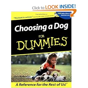 Choosing A Dog