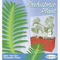 Prehistoric Plant Cube