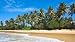 Idyllic Beach. Sri Lanka - 36"W x 20"H - Peel and Stick Wall Decal by Wallmonkeys