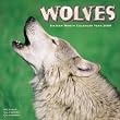 Wolves 2009 Wall Calendar