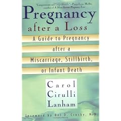 Pregnancy after a Loss: A Guide to Pregnancy after a Miscarriage, Stillbirth or Infant Death