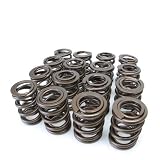 B-Series VTEC Tuner Series Valve Springs - 1999 - 2000 Honda Civic Coupe (Si)