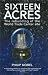 Sixteen Acres: The Rebuilding of the World Trade Center Site