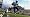 Madden NFL 08 (PS3)