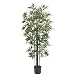 6' Bamboo Silk Tree (Green Trunks)