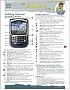 RIM BlackBerry 8700 Quick Source Guide