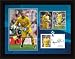 Spurs Paul Robinson 16x12 Framed Player Profile Print, Tottenham Hotspur FC