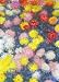 Completely Handpainted HQ Reproduction Painting - by Monet, Repro-R21346 Custom Order, Old Master's Classic Art, No Print, No Poster, No Giclee, Simply Painted by Hands, with Option to Paint from Any Other Favorite Photograph or Picture, Unframed, Size 20