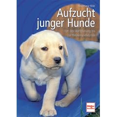 Aufzucht junger Hunde: Von der Wurfplanung bis zur Welpenspielstunde