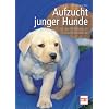 Aufzucht junger Hunde: Von der Wurfplanung bis zur Welpenspielstunde