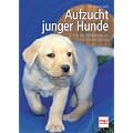 Aufzucht junger Hunde: Von der Wurfplanung bis zur Welpenspielstunde