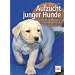 Aufzucht junger Hunde: Von der Wurfplanung bis zur Welpenspielstunde