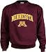 Search : Minnesota Golden Gophers Kids/Youth Perennial Crewneck Sweatshirt