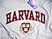 Harvard University Shirt T-Shirt Sweatshirt Hoodie Business Law Apparel Clothing