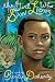 Book The Girl Who Saw Lions (Neal Porter Books)