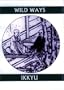 Wild Ways: Zen Poems of Ikkyu (Companions for the Journey)