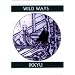 Wild Ways: Zen Poems of Ikkyu (Companions for the Journey)