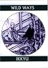 Wild Ways: Zen Poems of Ikkyu (Companions for the Journey)