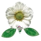 Photographic White Gerber Daisy Mini Shape Balloon (1 ct)