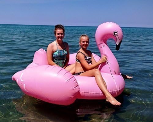 Franny the Fabulous Flamingo Inflatable Pool Float by Veebee Ventures