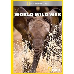 World Wild Web