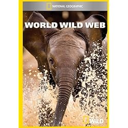 World Wild Web