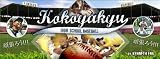 Kokoyakyu: High School Baseball