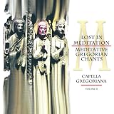 Lost in Meditation: Meditative Gregorian Chants