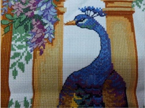 11ct Completed Finished Cross Stitch Needlepoint Peacock