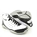 NIKE Zoom Blur New Basketball White Mens