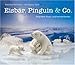 Eisbär, Pinguin & Co: Polartiere filzen und kennenlernen