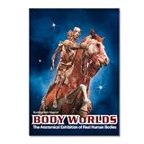 Body Worlds The Anatomical Exhibition of Real Human Bodies - DVD
