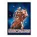 Body Worlds The Anatomical Exhibition of Real Human Bodies - DVD