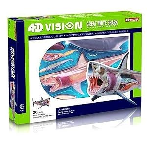Tedco 4D Vision Great White Shark Anatomy Model by John N. Hansen