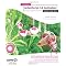 RIA Application Development Books