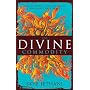 The Divine Commodity: Discovering a Faith Beyond Consumer Christianity