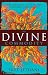 The Divine Commodity: Discovering a Faith Beyond Consumer Christianity