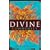 The Divine Commodity: Discovering a Faith Beyond Consumer Christianity