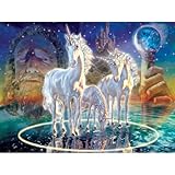 Picture Unicorn Wizard Jigsaw Puzzle 1000pc