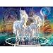 Unicorn Wizard Jigsaw Puzzle 1000pc
