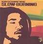 SLOW BURNING