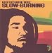 Slow Burning