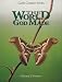 The World God Made