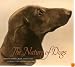 The Nature of Dogs