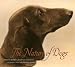 The Nature of Dogs