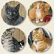 Barn Cat 4 Pack Round Coasters