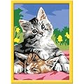 Ravensburger 28075 - Schmusende K�tzchen - Malen nach Zahlen, 18 x 24 cm